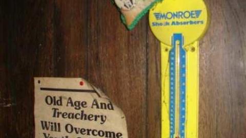 When Birds Attack - Runway-Rundown59.jpg