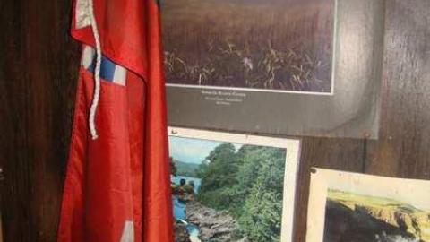 When Birds Attack - Runway-Rundown60.jpg