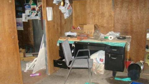 When Birds Attack - Runway-Rundown98.jpg