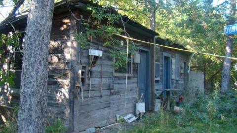 When Birds Attack - Runway-Rundown61.jpg