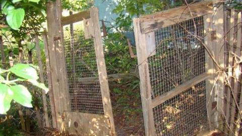 When Birds Attack - Runway-Rundown99.jpg