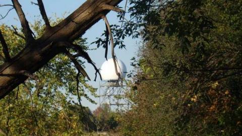 When Birds Attack - Runway-Rundown63.jpg