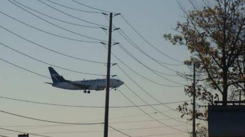 When Birds Attack - Runway-Rundown100.jpg