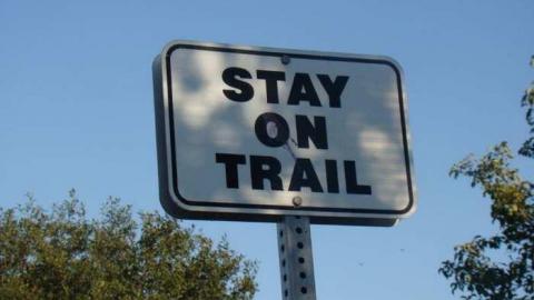 When Birds Attack - Runway-Rundown64.jpg