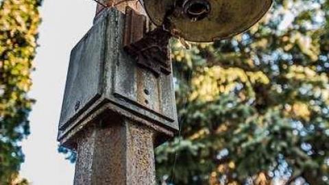 Not I, maybe you? - 35astley-2725.jpg