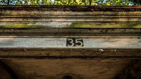 Rosedale Munchkin photo 3