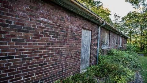 Rosedale Munchkin - Toronto, Ontario