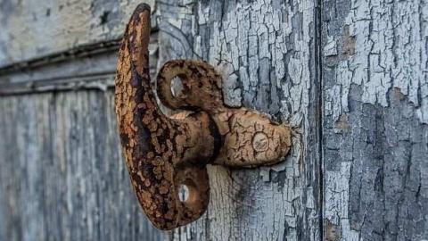 Rosedale Munchkin photo 5