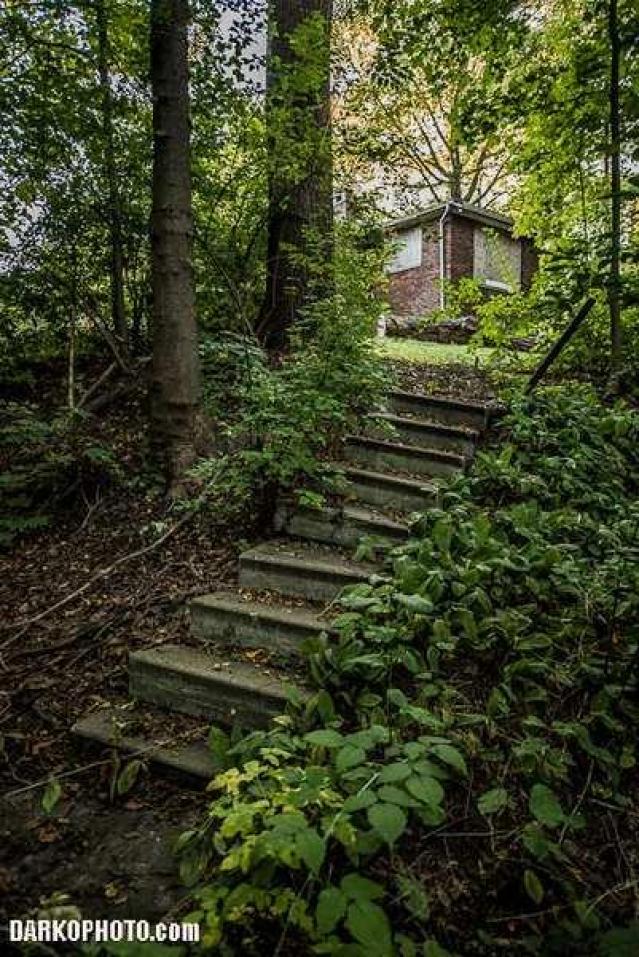 Rosedale Munchkin - Toronto, Ontario