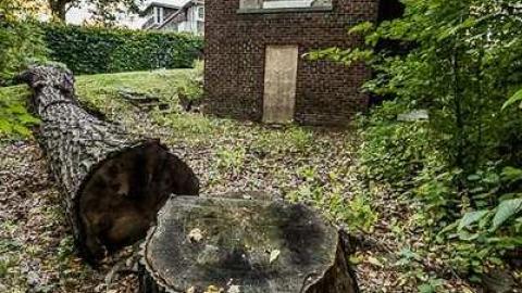 Not I, maybe you? - 35astley-2749.jpg