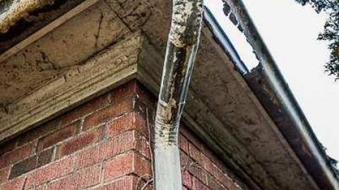 Not I, maybe you? - 35astley-2751.jpg