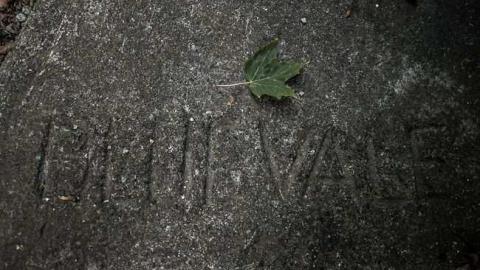 Not I, maybe you? - 35astley-2752.jpg