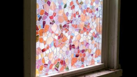 Hwy 56 Farm - binbrook-rd-farm13-apr8-13.jpg