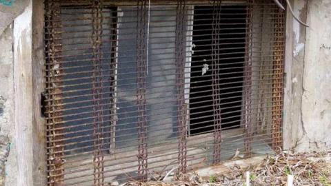 Hwy 56 Farm - binbrook-rd-farm15-apr8-13.jpg