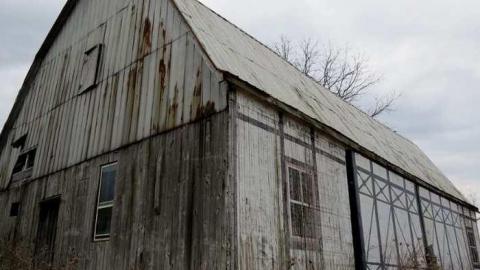 Hwy 56 Farm - binbrook-rd-farm20-apr8-13.jpg