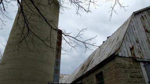 Hwy 56 Farm - binbrook-rd-farm21-apr8-13.jpg