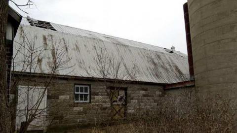 Hwy 56 Farm - binbrook-rd-farm27-apr8-13.jpg