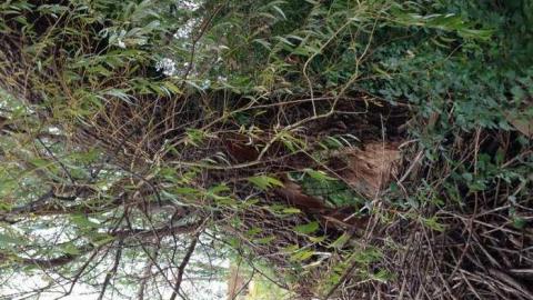 Reinhart - Reinhart-Auctions75.jpg