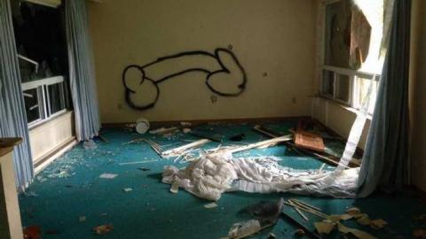 Next Door - Neighbour-to-276731.jpg