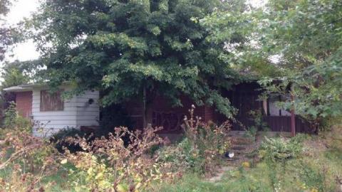 Next Door - Neighbour-to-276727.jpg