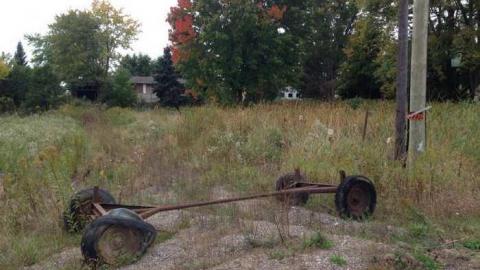 Photo from Next Door