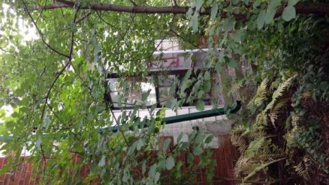 F. G. Hutchinson & Sons - Hurontario-Street163.jpg