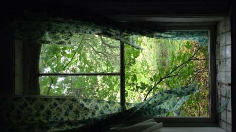 F. G. Hutchinson & Sons - Hurontario-Street155.jpg