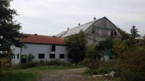 F. G. Hutchinson & Sons - Hurontario-Street152.jpg