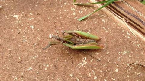 F. G. Hutchinson & Sons - Hurontario-Street159.jpg