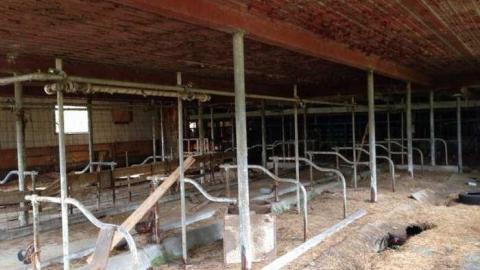 F. G. Hutchinson & Sons - Hurontario-Street160.jpg