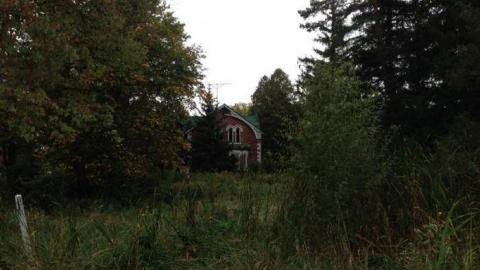 F. G. Hutchinson & Sons - Hurontario-Street164.jpg