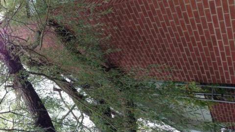 Reinhart - Reinhart-Auctions79.jpg