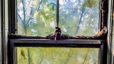 Welder MC - Well-Well-Welder63.jpg