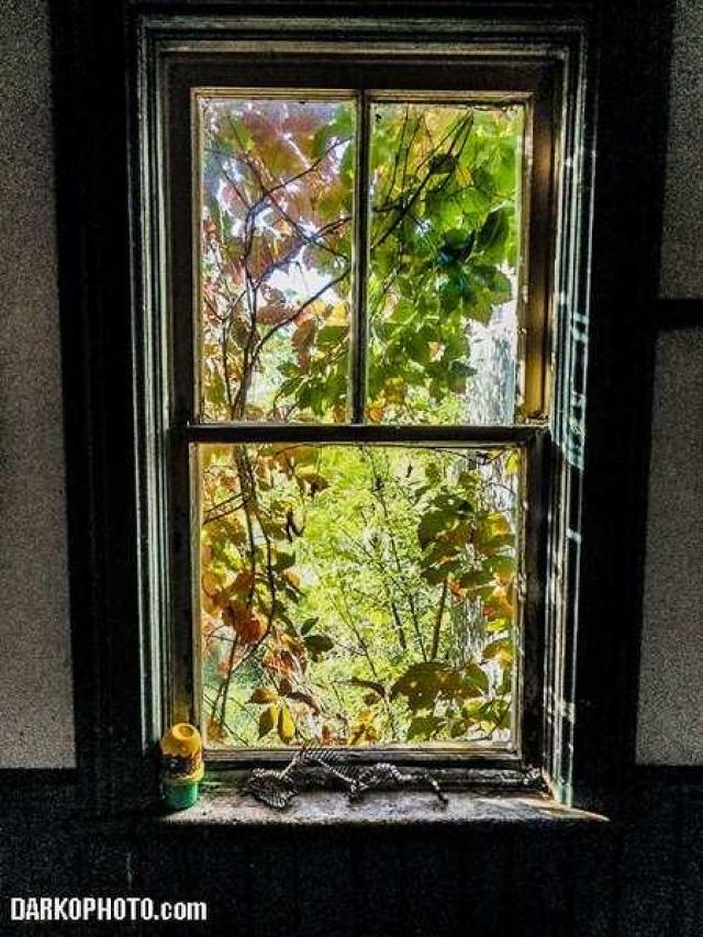 Well Well Welder photo 4