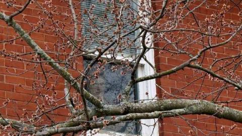 Binbrook Estate House - binbrook-estate-house23-apr8-2013.jpg