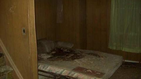 Brechin House photo 5