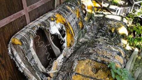 Better Call Saul - CGF-05505.jpg