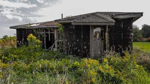 Better Call Saul - CGF-05508.jpg