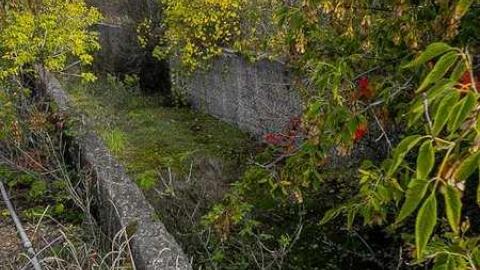 Better Call Saul - CGF-05509.jpg