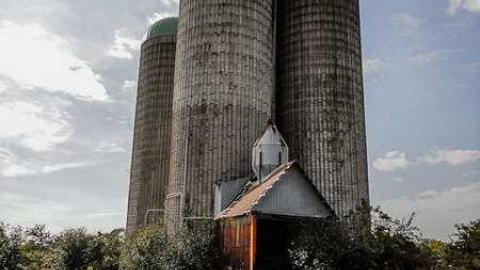 Better Call Saul - CGF-05511.jpg