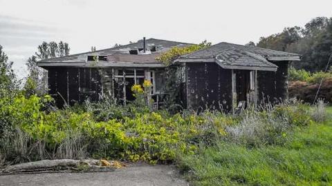 Better Call Saul - CGF-05519.jpg