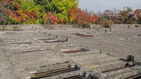 Better Call Saul - CGF-05528.jpg