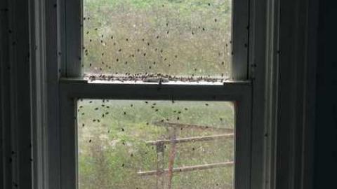 Sept 2013 - IMG_1145.jpg