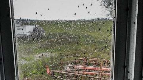 Photo from Pretty Fly for a Dead Guy