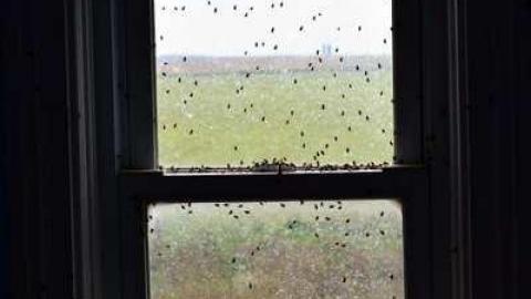 Fly On The Wall - DSC_00569.jpg