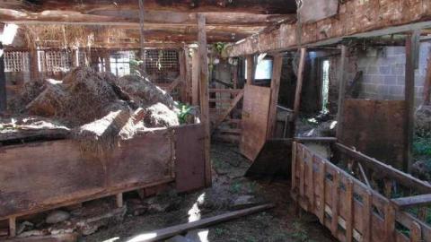 9/27/13 - SAM_6055.jpg