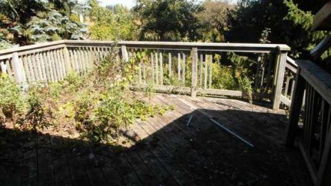 9/27/13 - SAM_6080.jpg