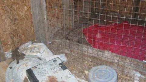 Part2 - Trashed-(near-Holly)10.jpg