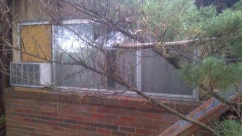 The Dent Cottage - Pleasantville-Country-Cottage18.jpg