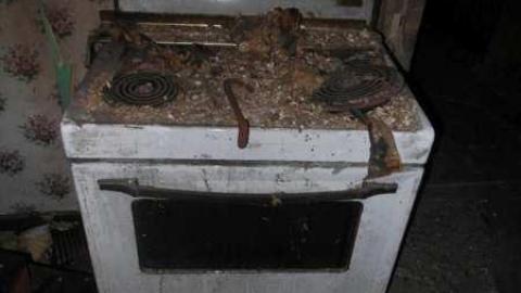 Burnt and Rotting - SAM_4987.jpg